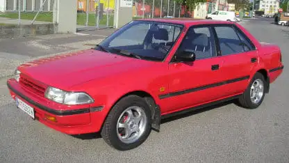 Carina von vorne seitlich